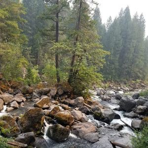 Meet your Posher, Heidi